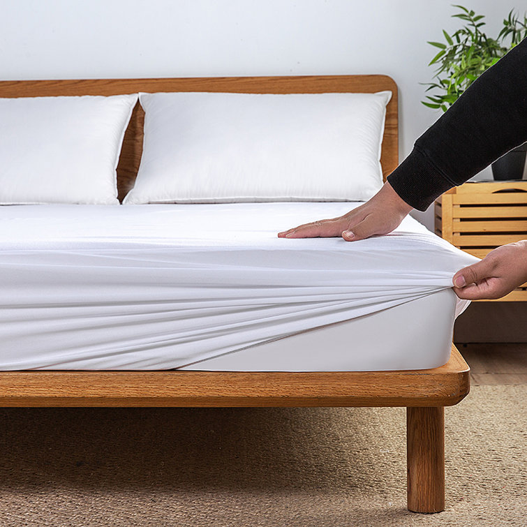 Lady Sandra Waterproof Fitted Mattress Protector Wayfair